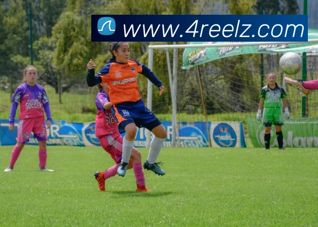 数据防护可视化